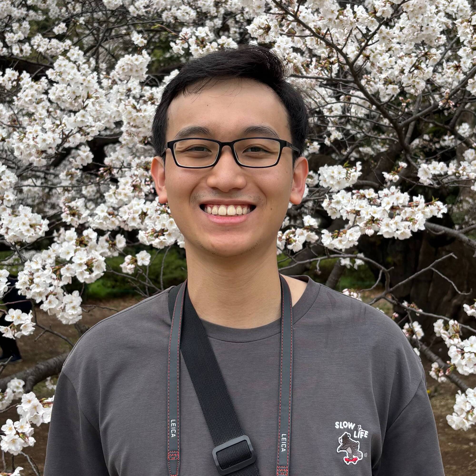 Hong Anh Pham's profile picture